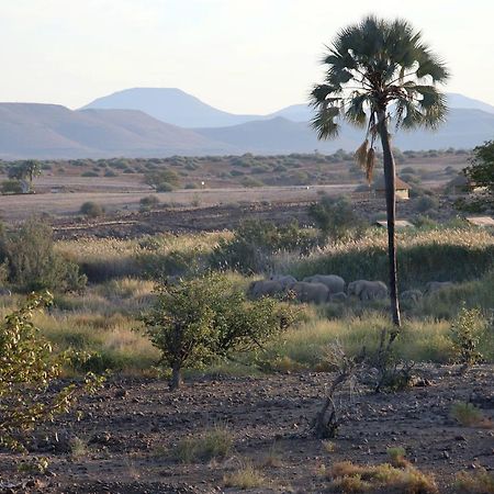 Palmwag Campsite Екстериор снимка