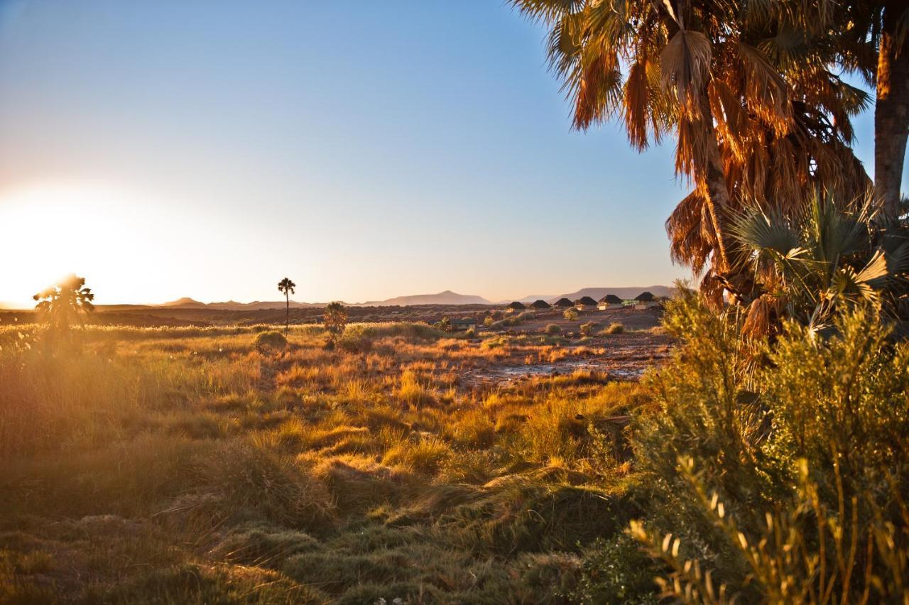 Palmwag Campsite Екстериор снимка